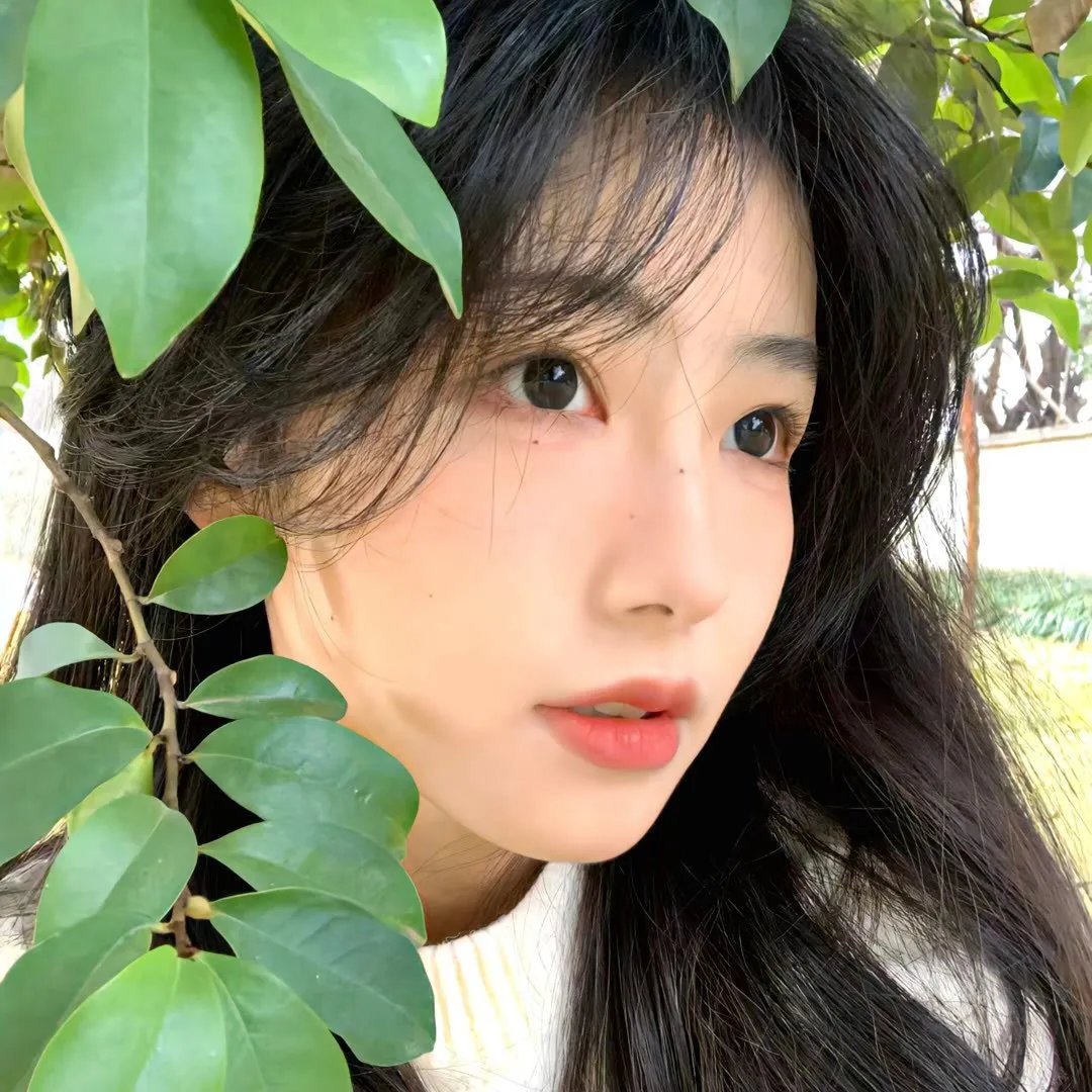 巴里布 在线观看